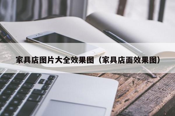 家具店图片大全效果图（家具店面效果图）